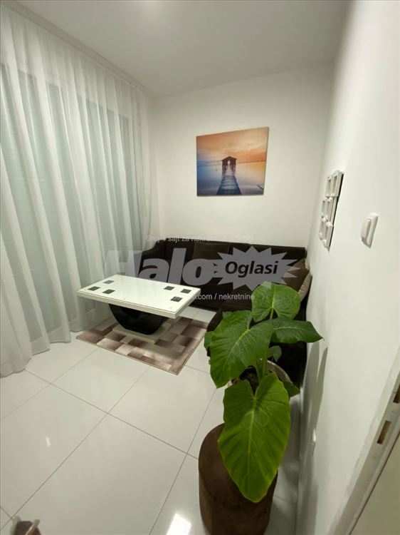 for rent apartment — photo