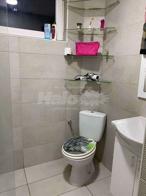 for rent apartment — photo