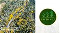 Ponuda za Investitore Green Hill residence concept