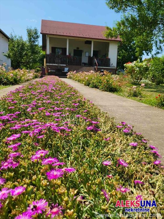 Petrovaradin, Puckaroš, House, 2, 85.00m2 — photo