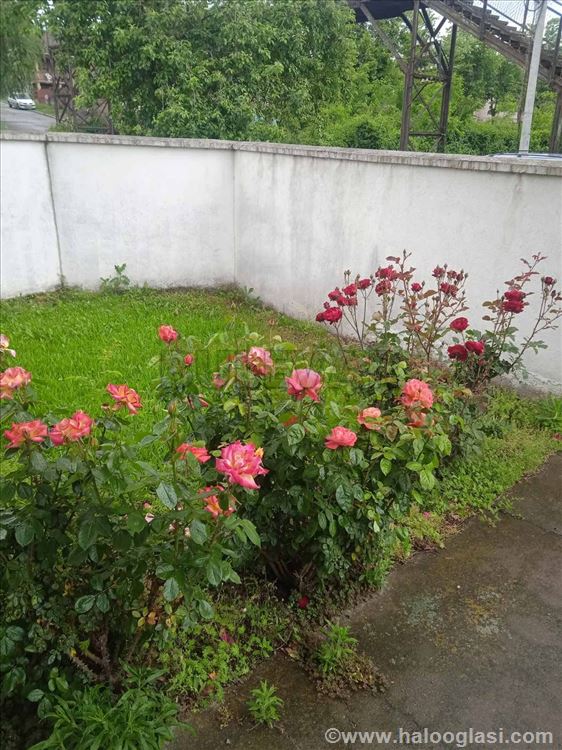Prodajem kuće u naselju Pivara — fotografija