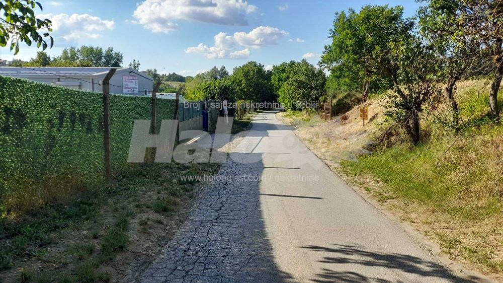 Alibegovac Tihomira Arsića br 118 — fotografija
