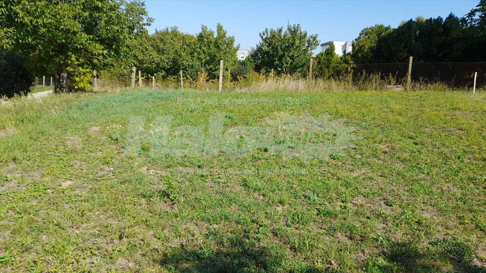 Alibegovac Tihomira Arsića br 118 — fotografija