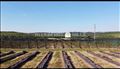 Plac Kosmaj- Blueberry Hills-Sopot