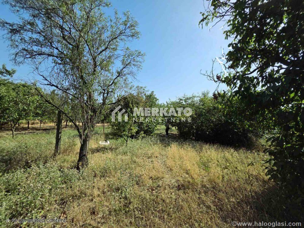 Building plot — photo