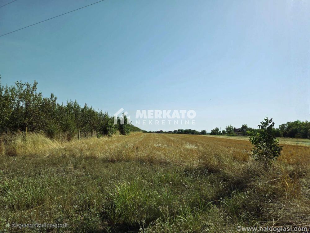 Building plot — photo