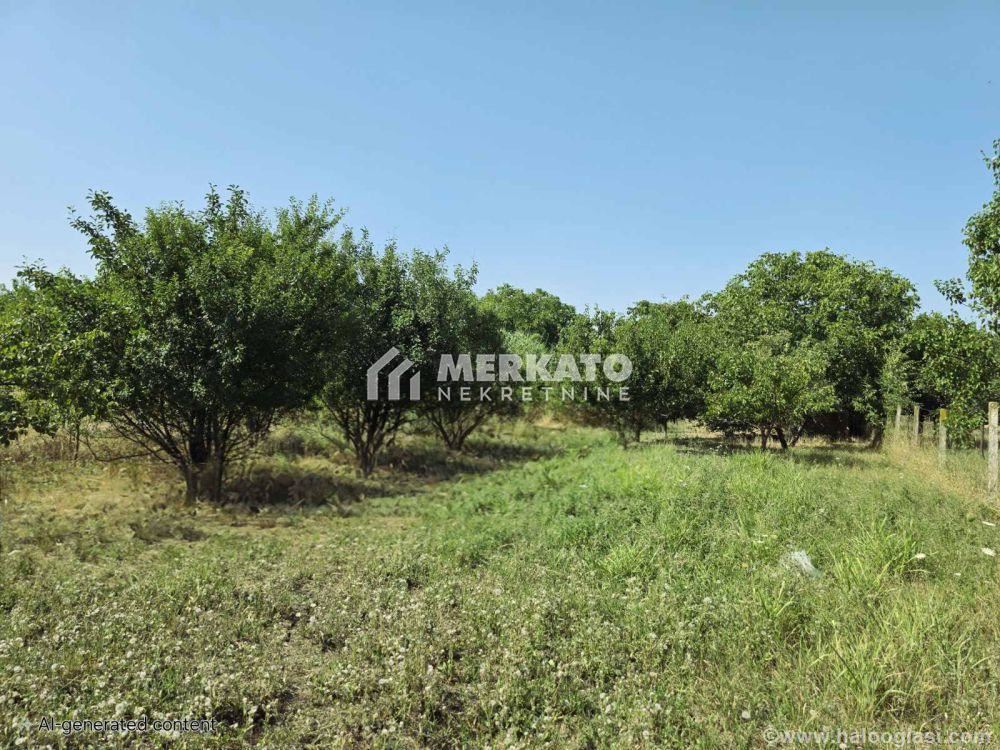 Building plot — photo