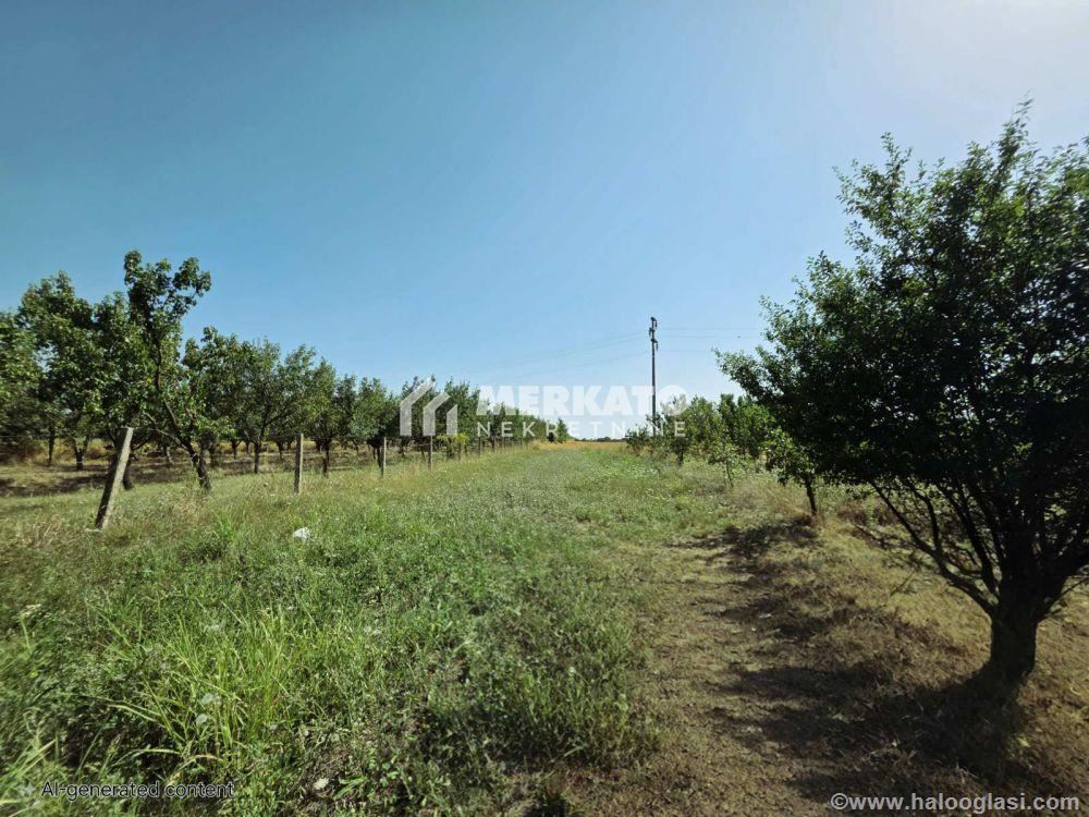 Building plot — photo