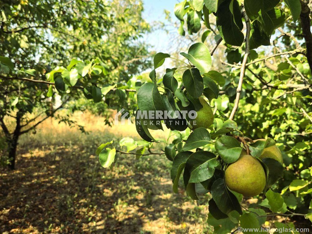 Building plot — photo