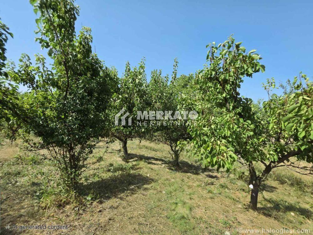 Building plot — photo