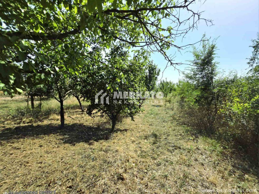 Building plot — photo