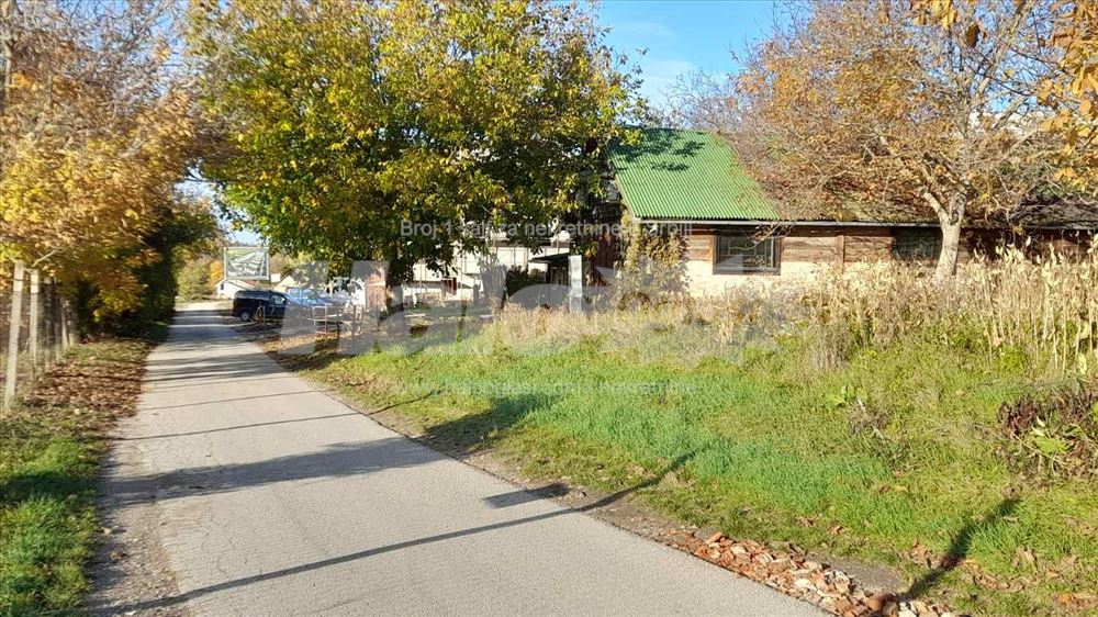 Alibegovac Tihomira Arsića br 118 — fotografija