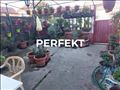 Stara Misa, prizemna dve stambene jedinice 44m2+ 5