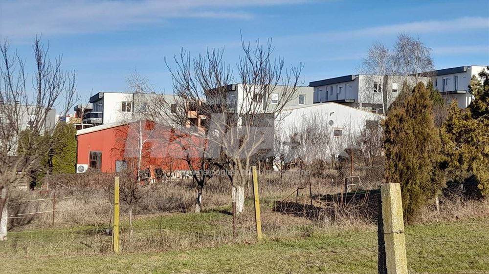 Alibegovac Tihomira Arsića br 118 — fotografija