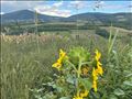 Kosmaj mali raj. Pogled. Pogled. Pogled.