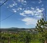 Plac 10 Ari Ritopek