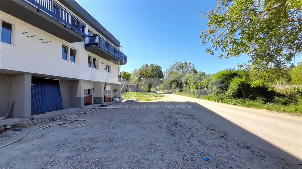 Alibegovac Tihomira Arsića br 118 — fotografija