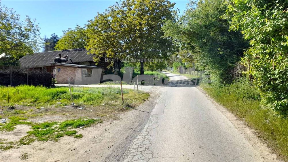 Alibegovac Tihomira Arsića br 118 — fotografija
