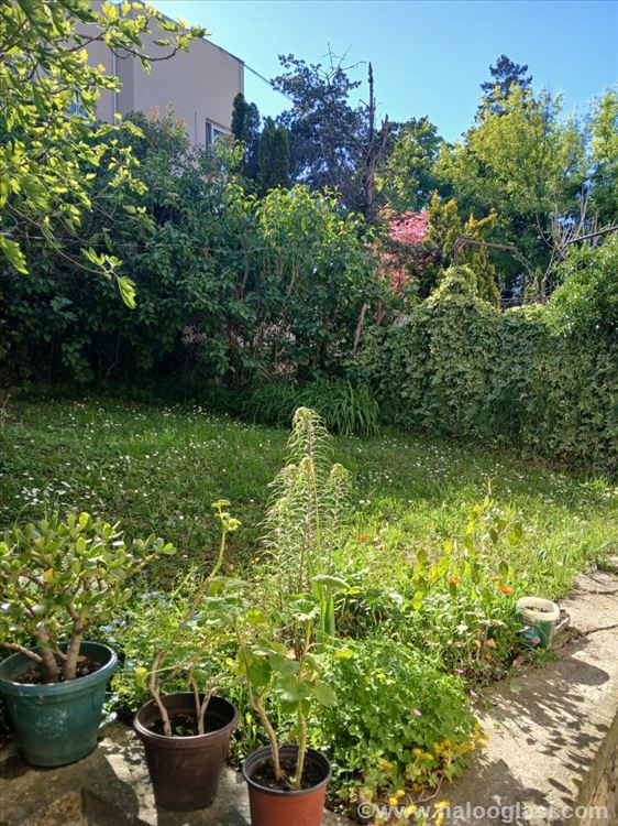 Dedinje 324 m2, 930m2 plac