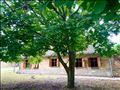 Аутентична бантска кућа/Аuthentic house in Banat