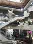 Lokal - Vozdovac-Banjica #57391