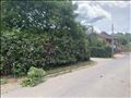 Veliki Mokri Lug Cvetanova Ćuprija