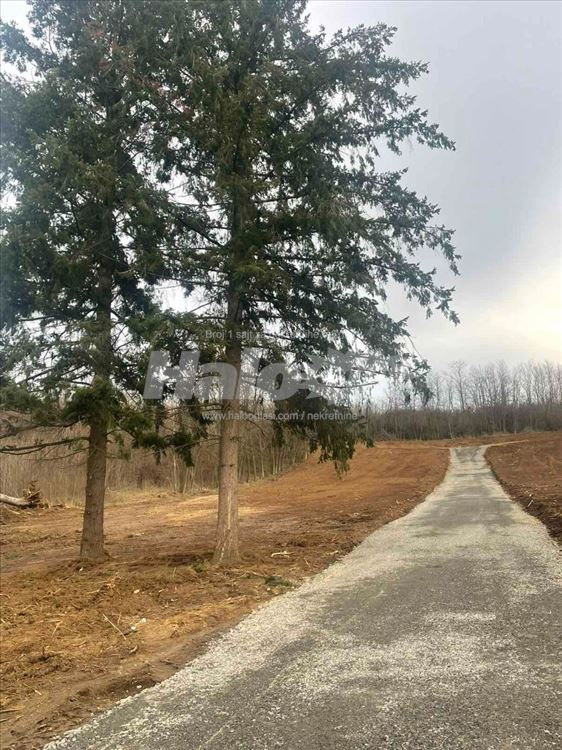 Tranšped Vrčin putevi — fotografija