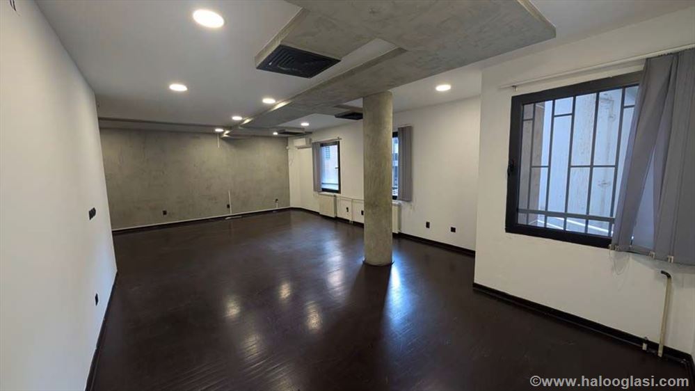 Ботаничка сад, коммерческие помещения, 219m2 — фото