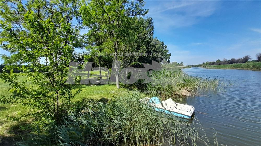 Na obali reke 20 minuta od Novog Sada — fotografija