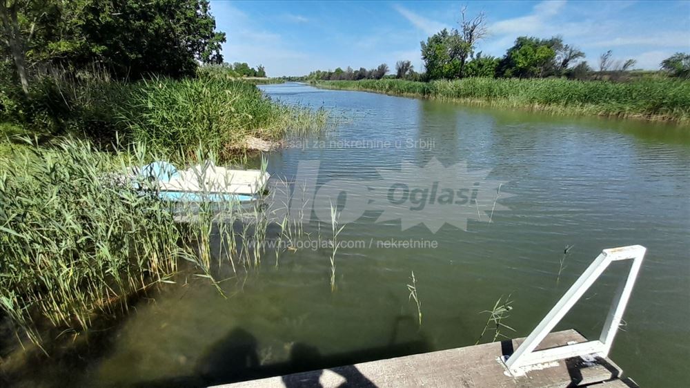 Na obali reke 20 minuta od Novog Sada — fotografija