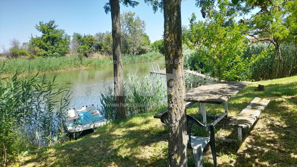 Na obali reke 20 minuta od Novog Sada — fotografija