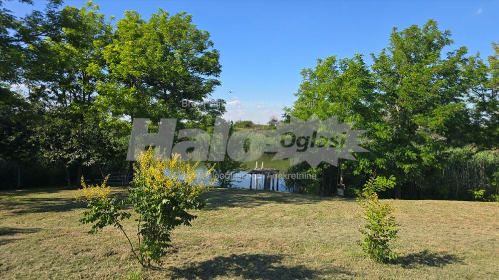 Na obali reke 20 minuta od Novog Sada — fotografija