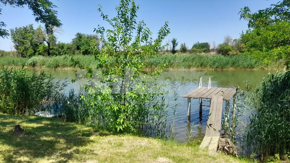 Na obali reke 20 minuta od Novog Sada — fotografija