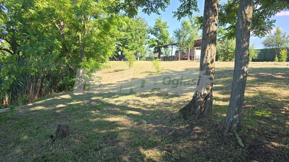 Na obali reke 20 minuta od Novog Sada — fotografija