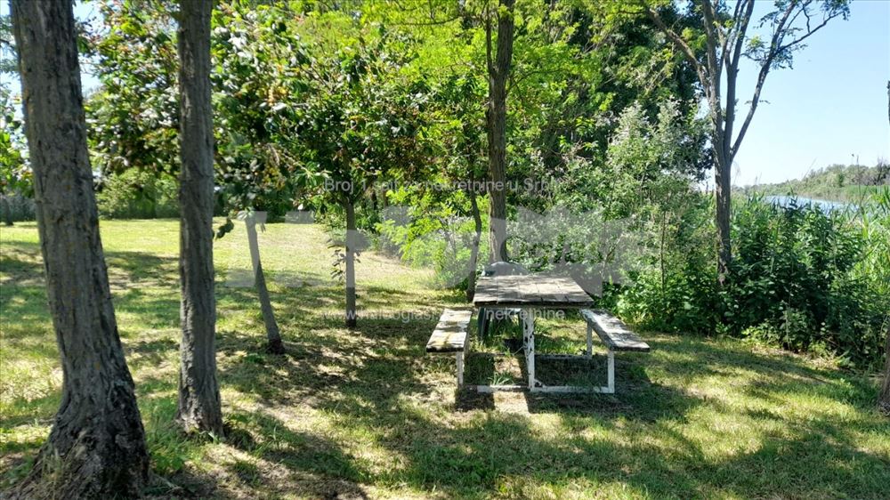 Na obali reke 20 minuta od Novog Sada — fotografija