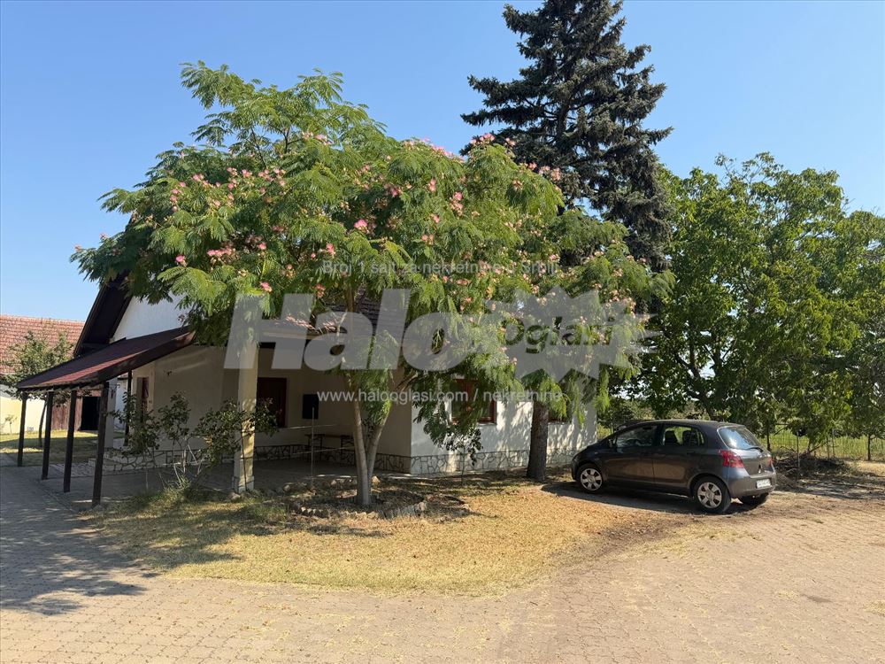 Salaš дом Палича — фото