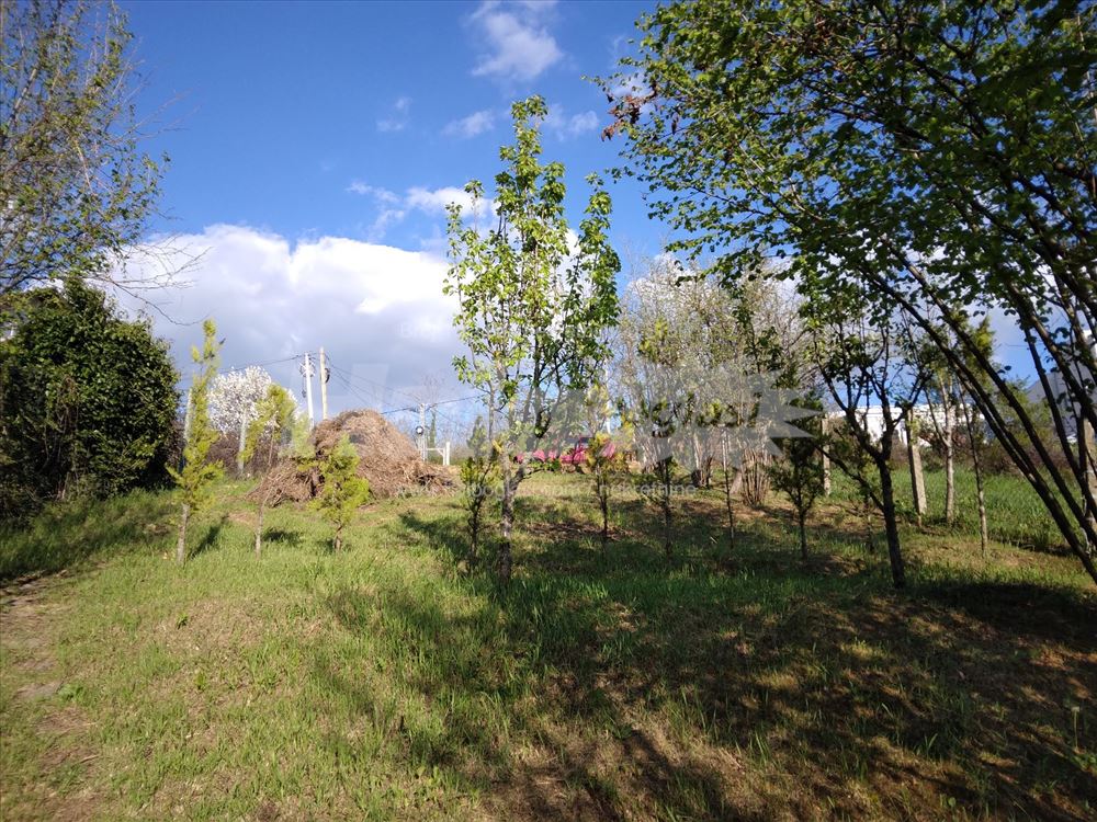 House in Sremskoj Kamenici — photo