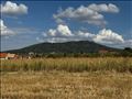Avala (Pinosava) 67 ari