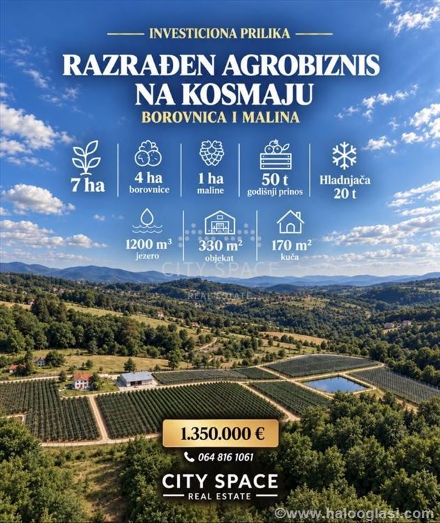 Плантация черники и малины 7Ha на Космай — фото