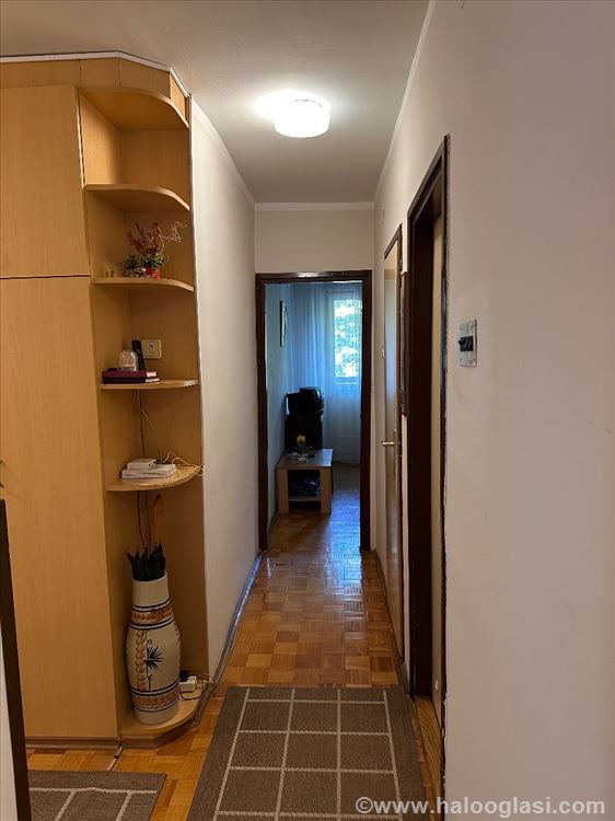 Безанские волосы 3.0,78 m² — фото