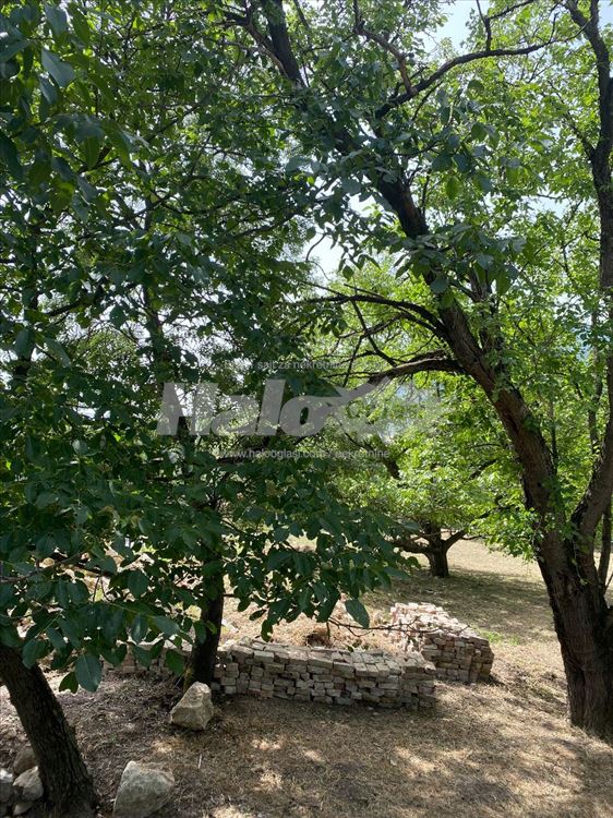 Plac, dve male kuće i šuma - Nemenikuće, Kosmaj — fotografija