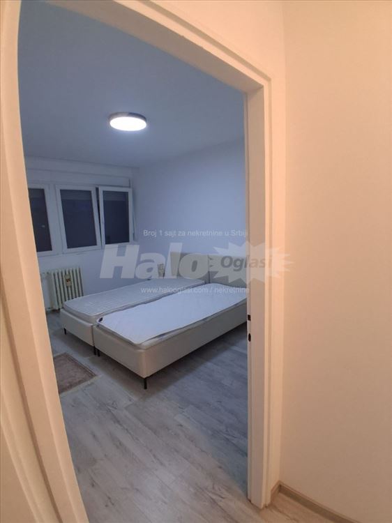 apartment for rent completely renovated — photo